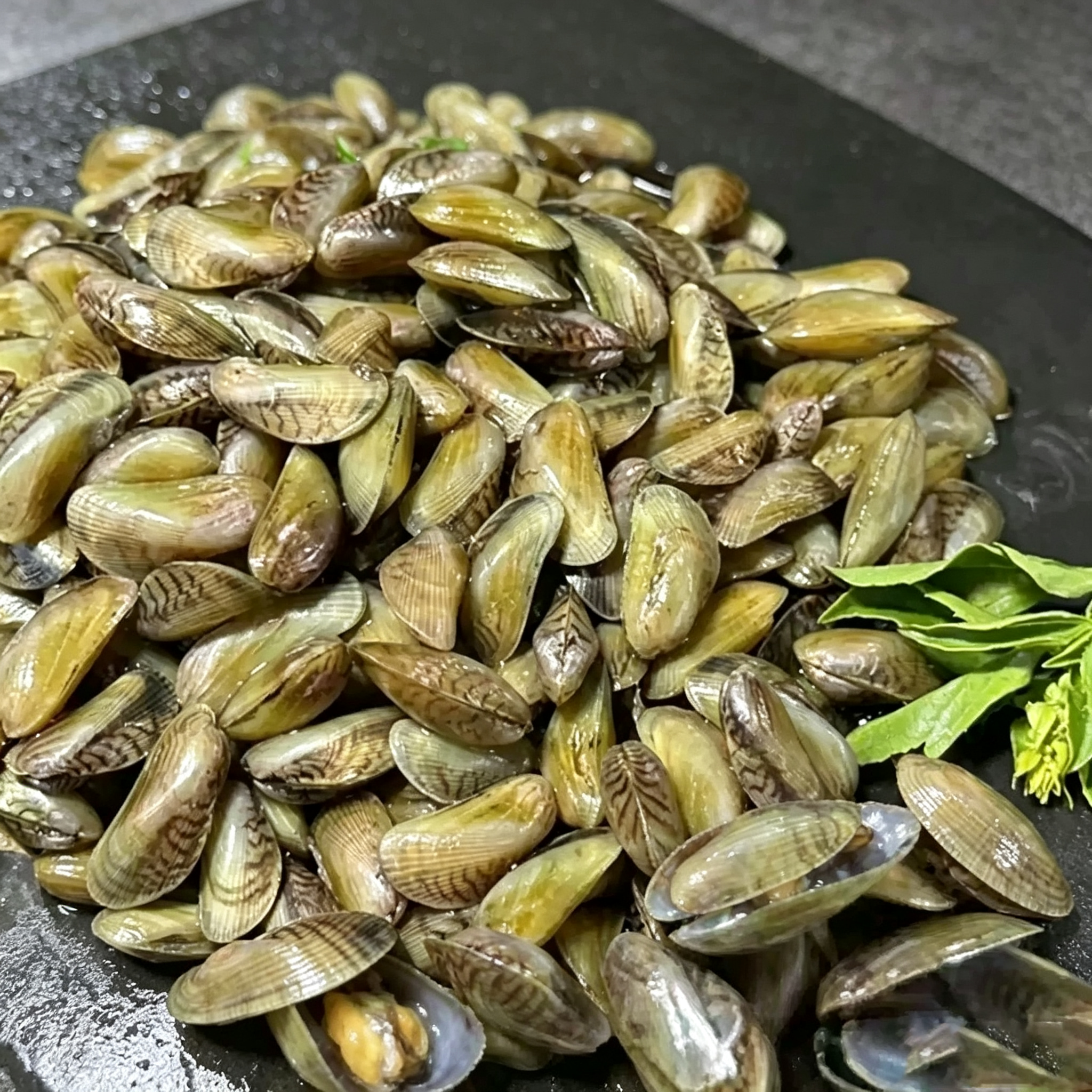 Razor Clams